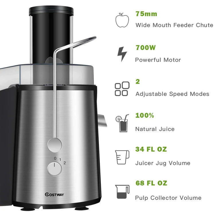 2 Speed Electric Juice Press for Fruit and Vegetable - Color: Silve