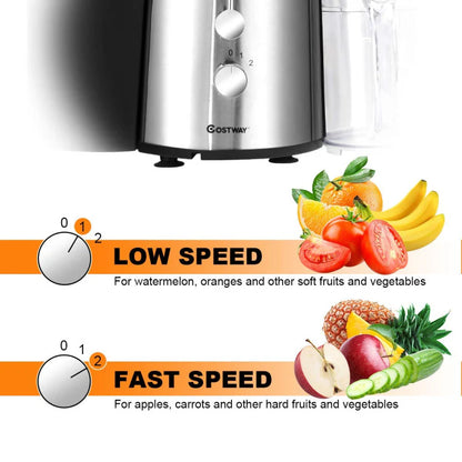 2 Speed Electric Juice Press for Fruit and Vegetable - Color: Silve